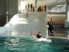 e11