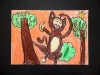 SAM_5270