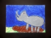 SAM_5278