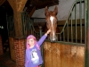 SAM_6594