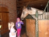 SAM_6596