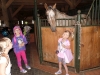 SAM_6597