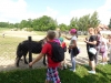 SAM_6600