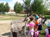 SAM_6601