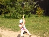 SAM_6647