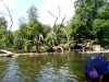 SAM_0082