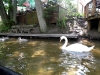 SAM_0087