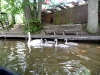 SAM_0088
