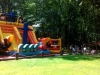 SAM_0079