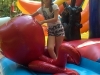 SAM_0081