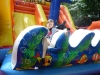 SAM_0151