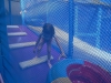 DSCN0004