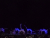 SAM_9799