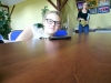 DSCN4716