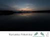 5-8-WYROZNIENIE-Marianna-Pokorska