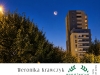 5-8-WYROZNIENIE-Weronika-Krawczyk